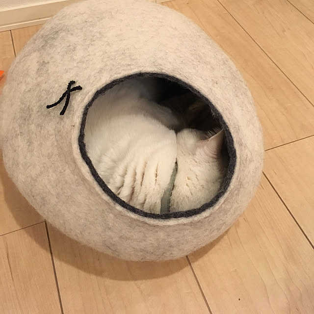 riechanさんの実例写真