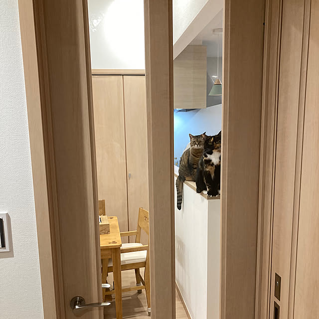 kirinsanさんの部屋