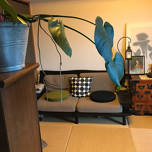 cagosukiさんの実例写真