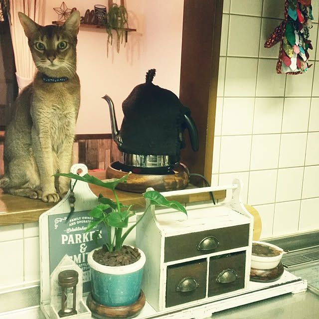 kichiさんの実例写真