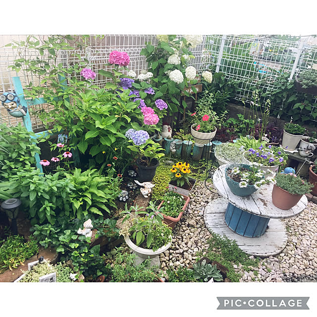 CoCo0617さんの部屋