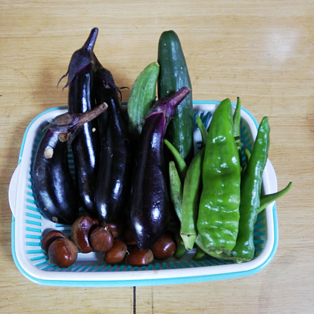 SYOUGUNさんの実例写真
