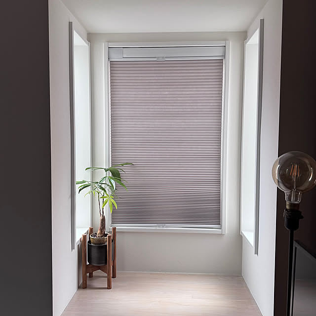 ballyさんの実例写真