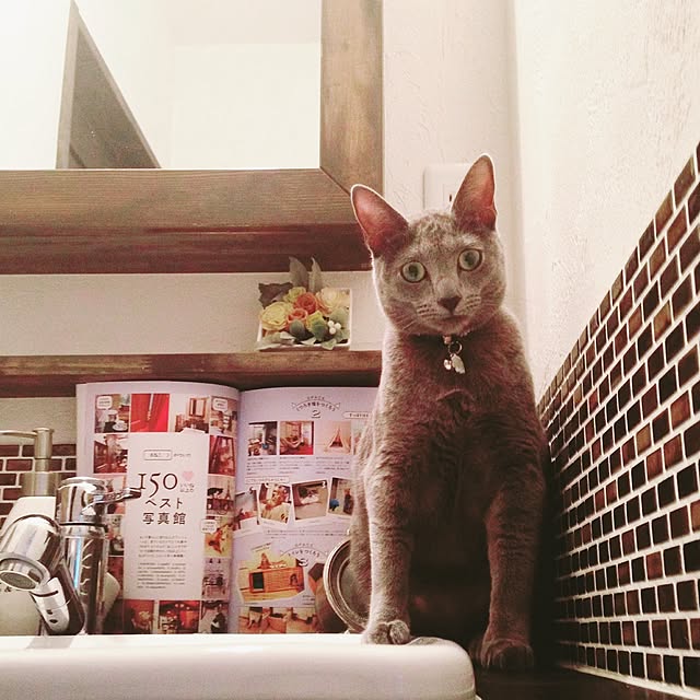 capelさんの実例写真