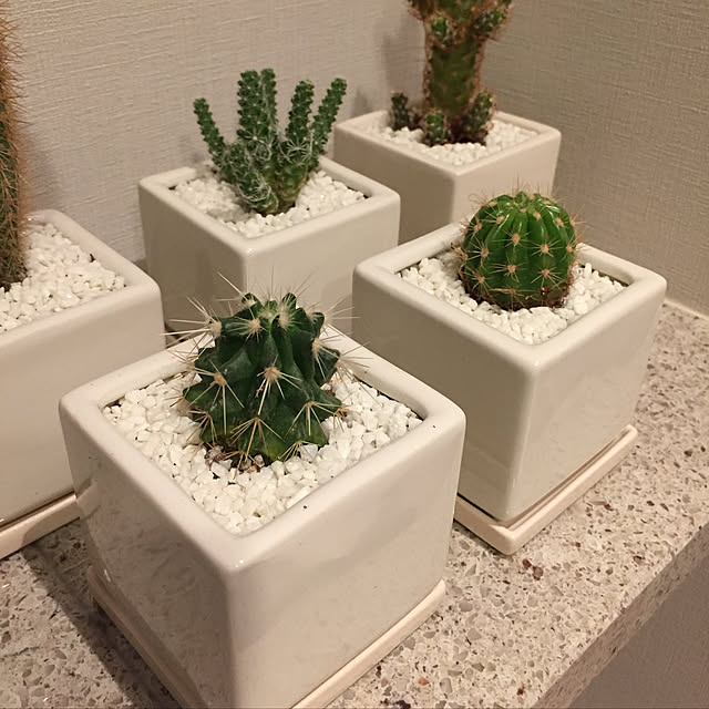 t.ii.aさんの実例写真
