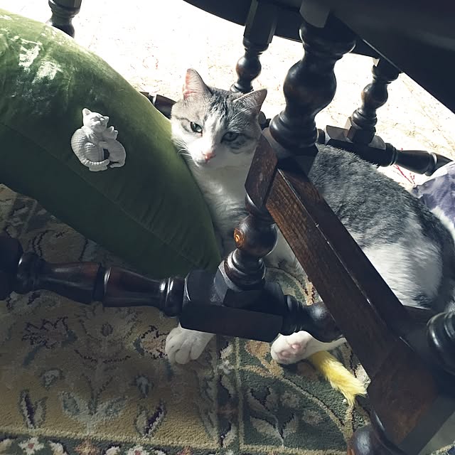 emmyyさんの実例写真