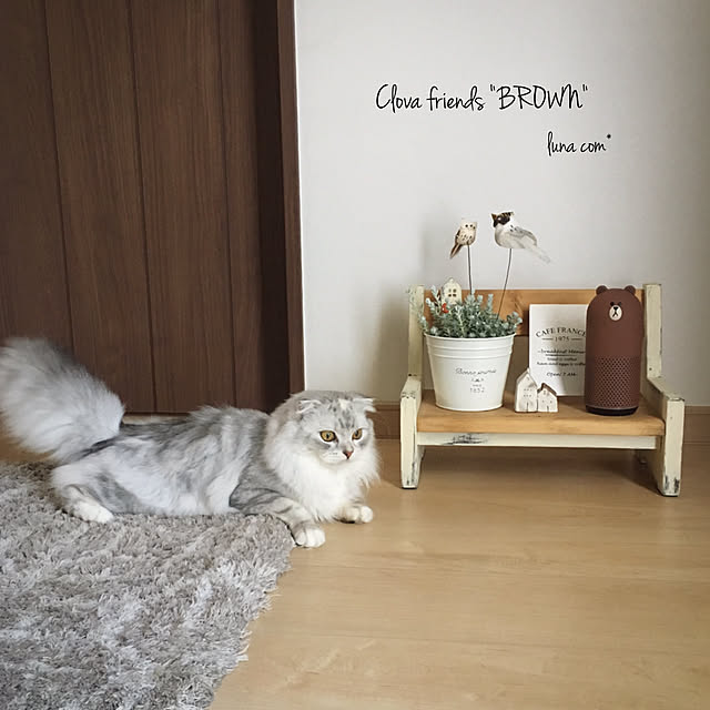 luna.comさんの実例写真
