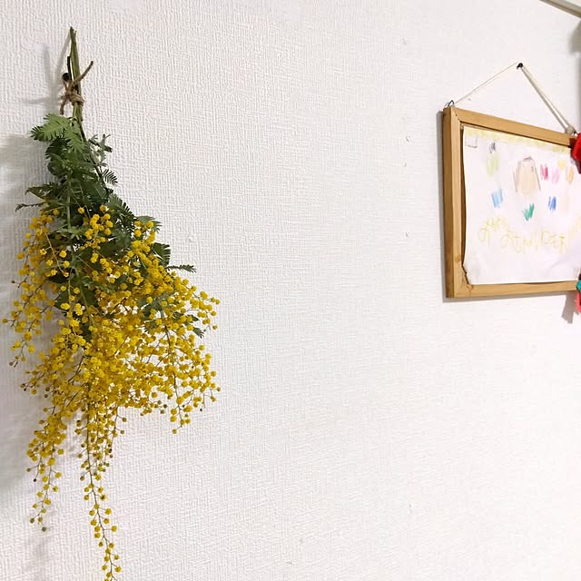 25Moondropsさんの部屋
