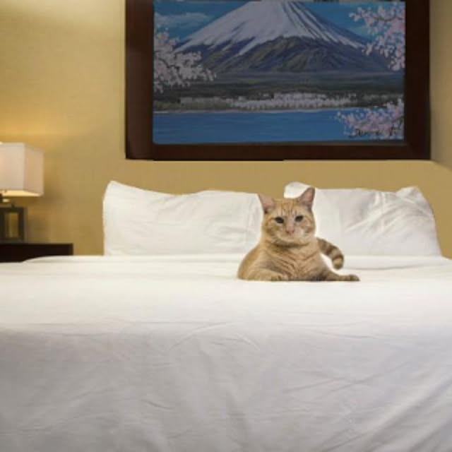 Hotel-Bedさんの実例写真