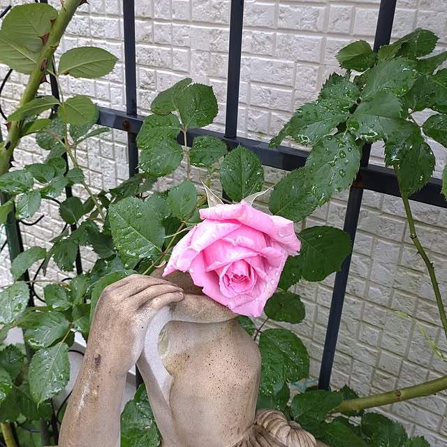 Bienvenueさんの部屋