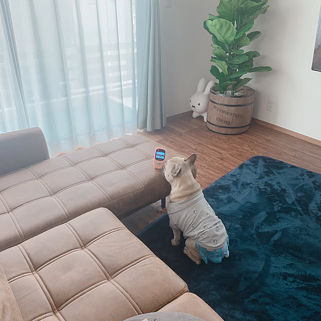 maaayaさんの実例写真