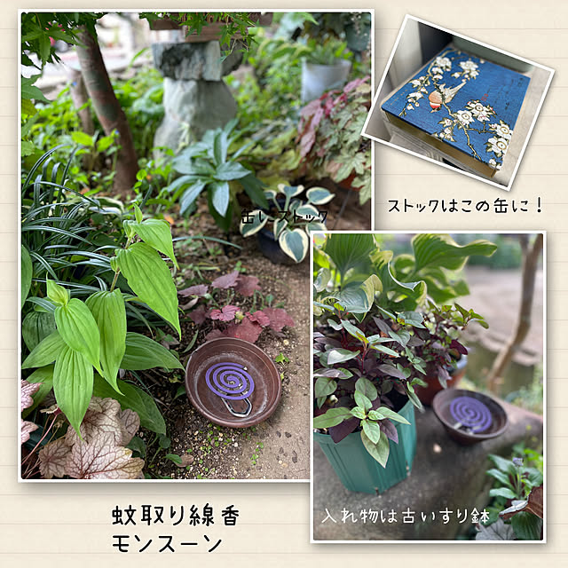 buchiさんの実例写真