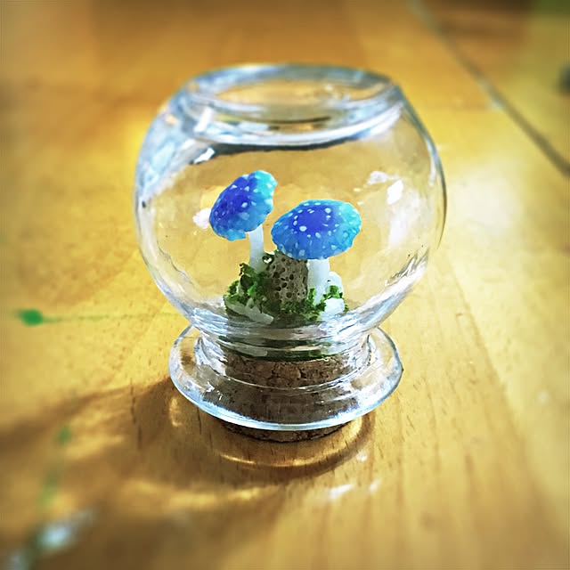 ramuchop3000さんの実例写真