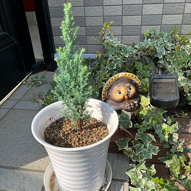 haruさんの実例写真