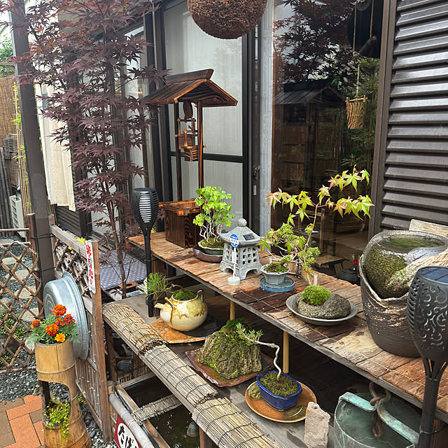 masato.mikiさんの部屋