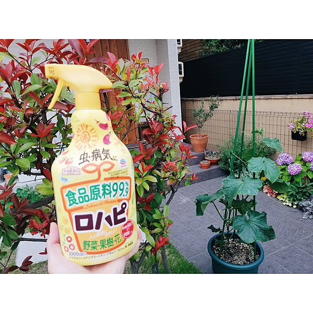 ymさんの実例写真
