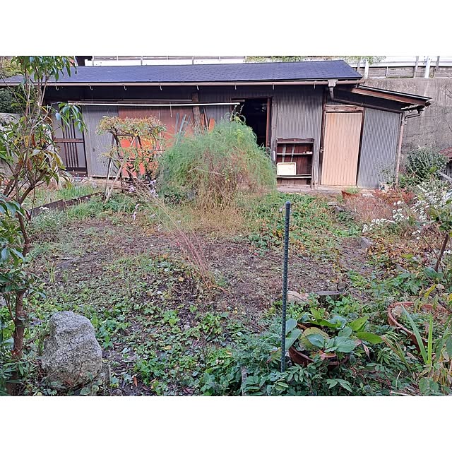 waniwaniさんの部屋