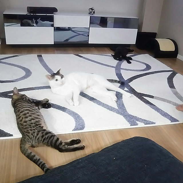 sunnyさんの実例写真