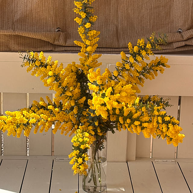 ANDYさんの実例写真