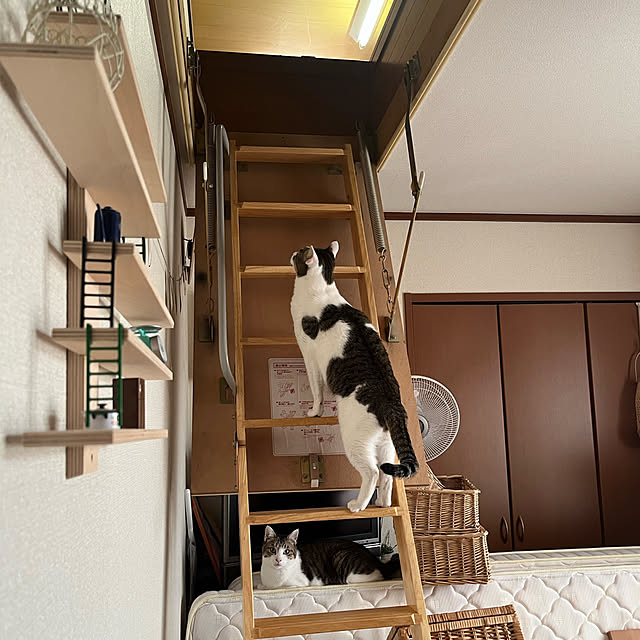 Lufuさんの実例写真