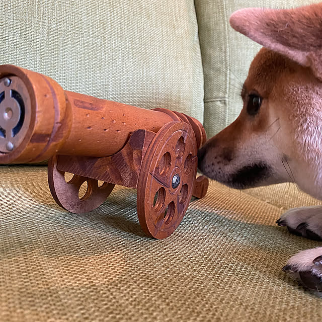 kumaさんの実例写真