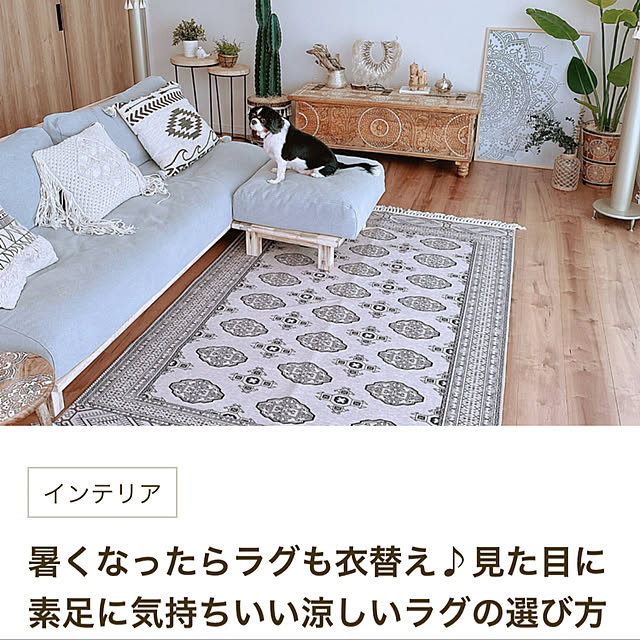 bonitaさんの実例写真