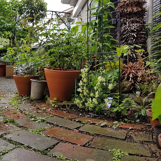 midoriさんの部屋