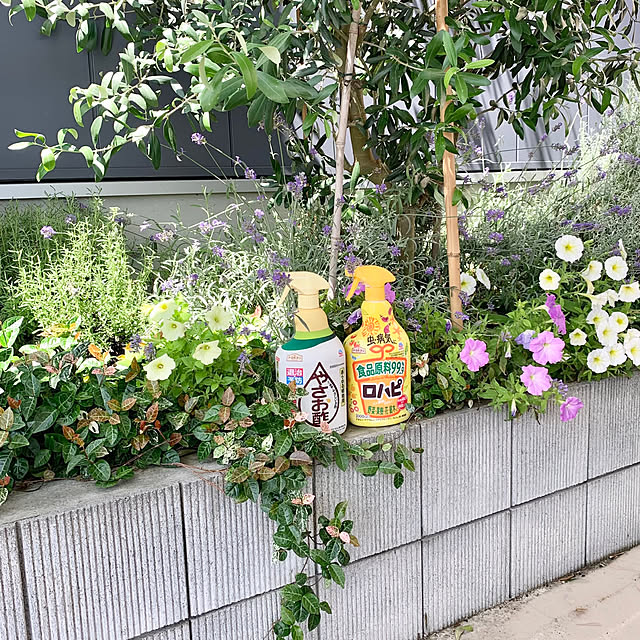 Minteaさんの実例写真