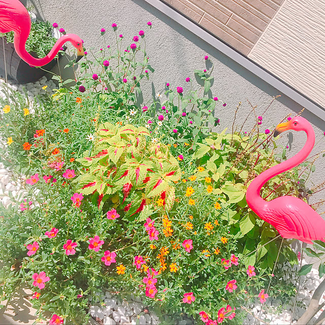 Akemiさんの実例写真