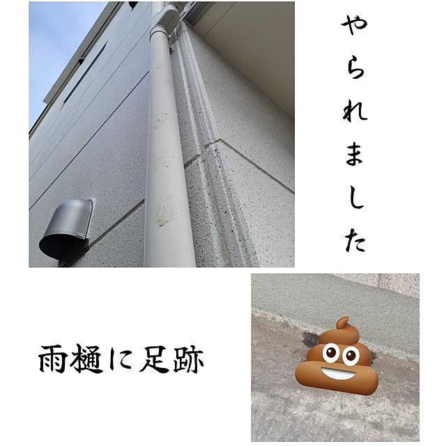 suzuさんの実例写真