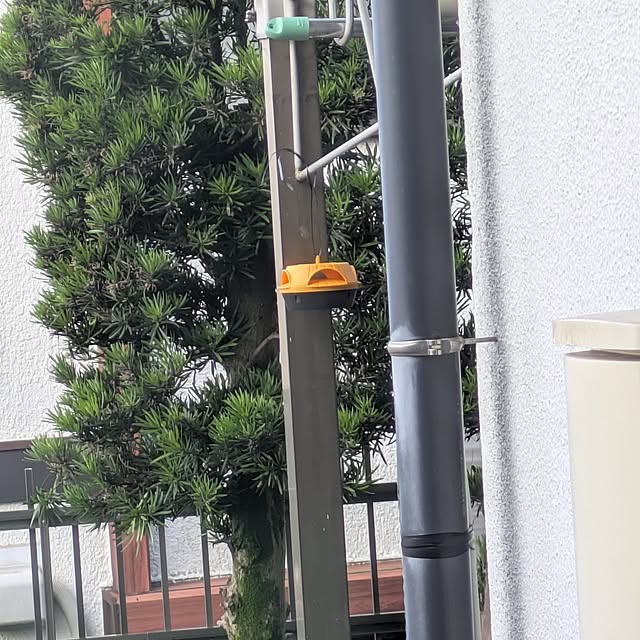 asaさんの部屋