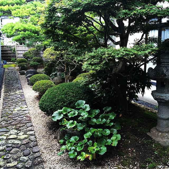 gurebekoさんの実例写真