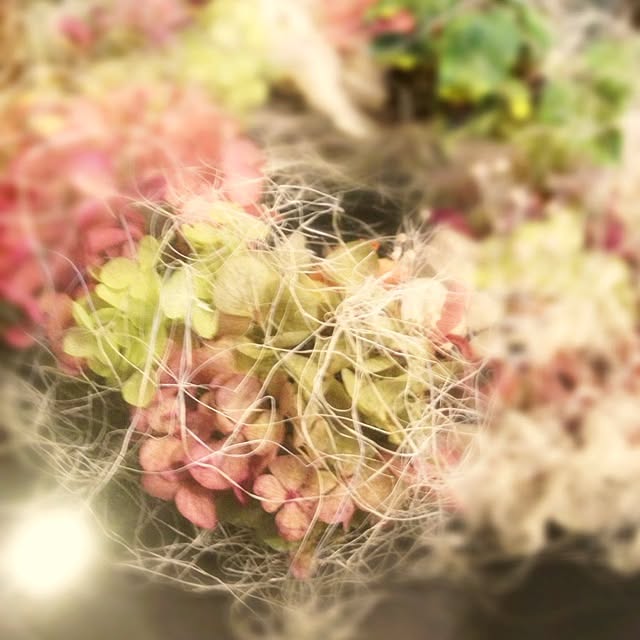 yuriko.さんの実例写真