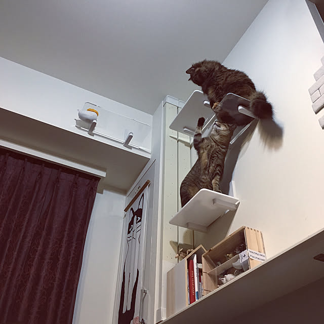mikomaruさんの実例写真
