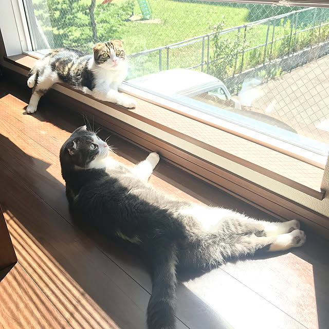 tansukeさんの実例写真