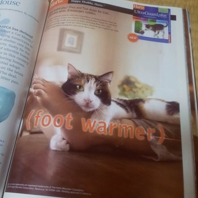 kittenblueさんの実例写真