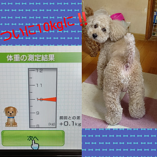 yumirinさんの実例写真