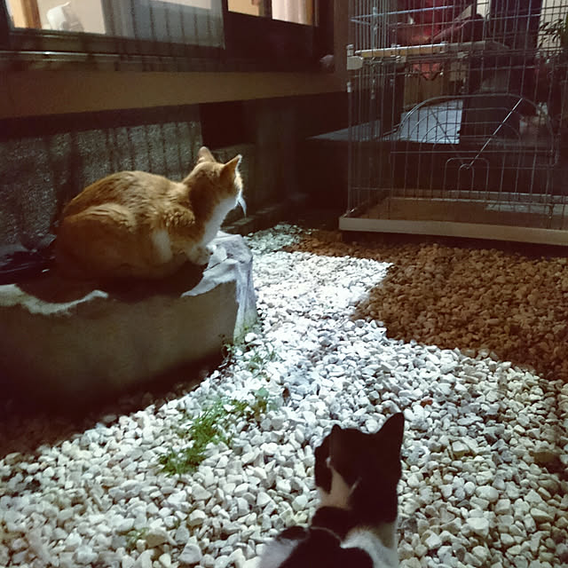 uchizukonyanさんの実例写真