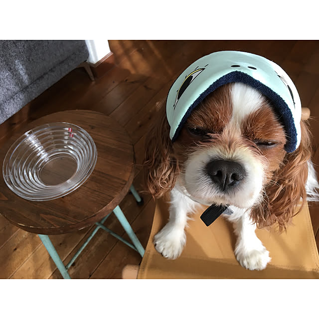 miyaさんの実例写真