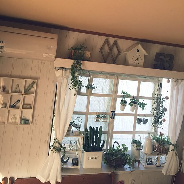 RURULOVEさんの実例写真