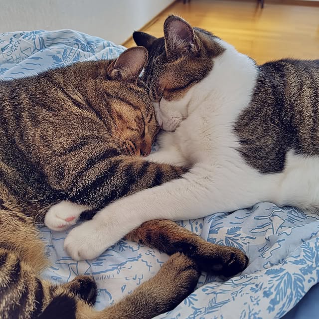 nachiさんの部屋