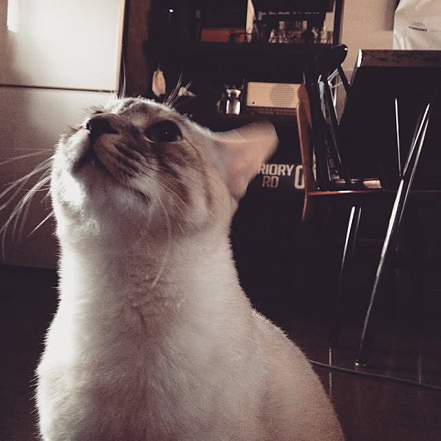 Naoki.さんの実例写真