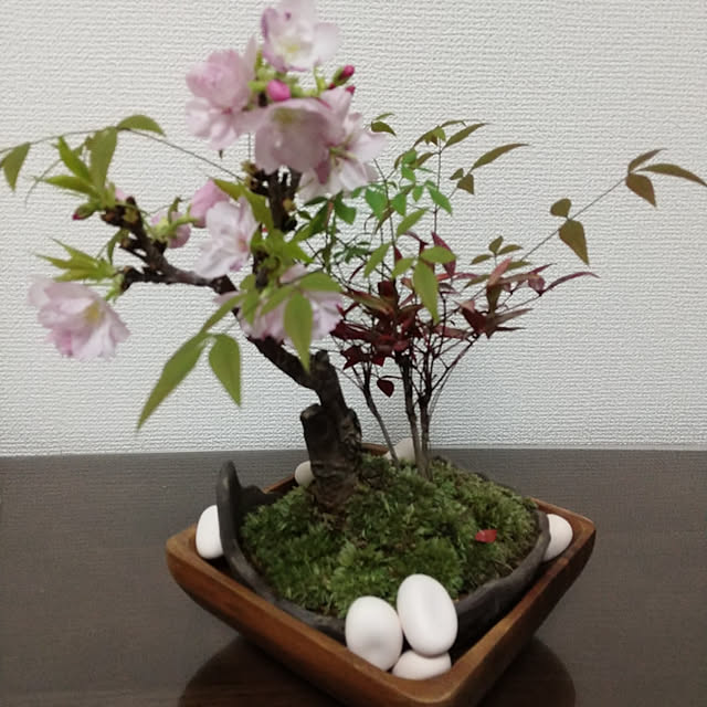 Naomiさんの実例写真