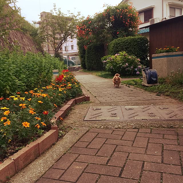 実例写真
