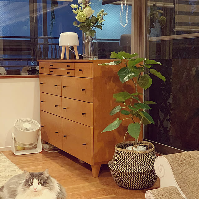 yukarinさんの実例写真