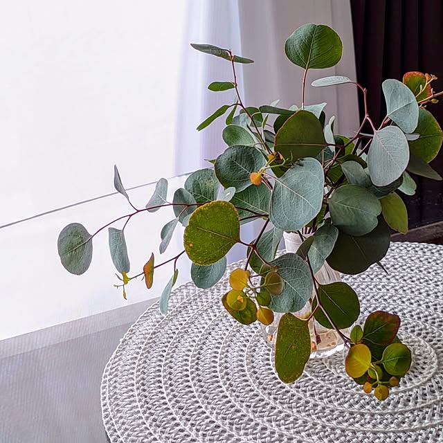 mi-saさんの部屋