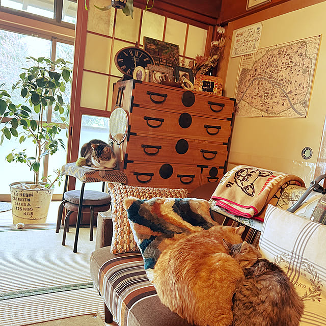 choroさんの実例写真