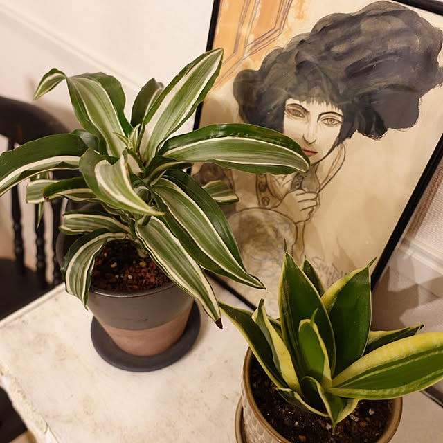 coco.Apartmanさんの実例写真