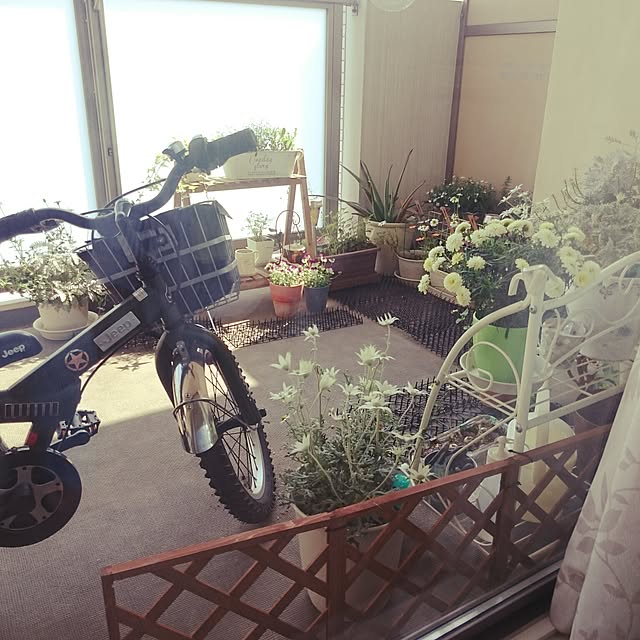 nimiaさんの実例写真