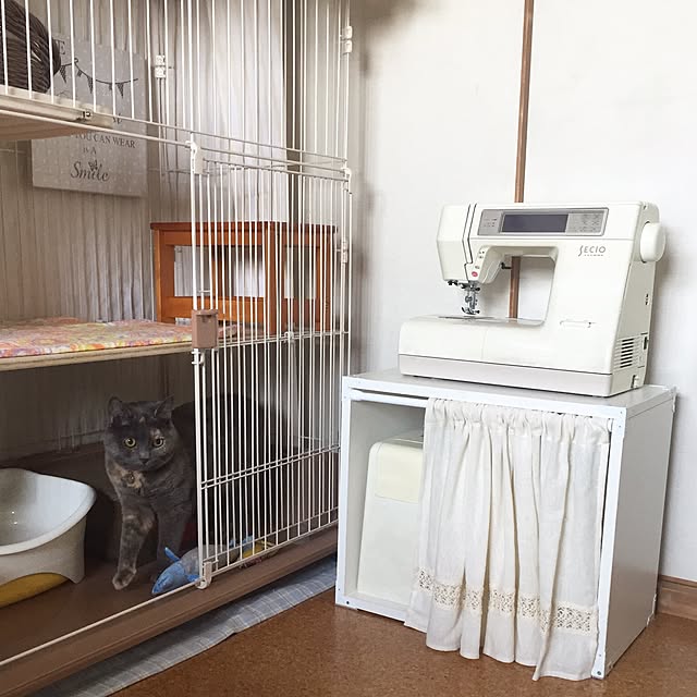 nokiaさんの実例写真